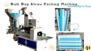 Bend Straw Bulk packing machine 100pcsbagmax500pcsbag [upl. by Aihppa513]