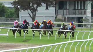 Innisfail 20240810 Race 5 [upl. by Assenahs]