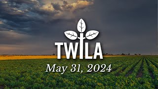 TWILA—May 31 2024 [upl. by Gibeon688]