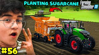 I Plant Sugarcane In Every Field  Farming Simulator 22 Gameplay Hindi 56 [upl. by Phiona518]