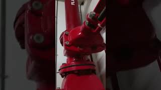 PMs fire pump and jockey pump [upl. by Floro]