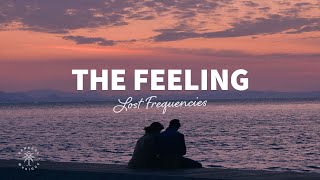 Lost Frequencies  The Feeling Lyrics [upl. by Alicirp]