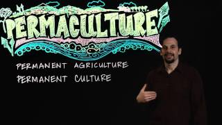 What is Permaculture [upl. by Jonie]