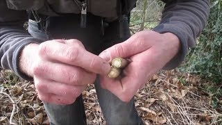 Hand drill  récolte préparation et utilisation des matériaux pour débutants sureau sur lierre [upl. by Chaiken]