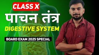 Class 10 Digestive System पाचन तंत्र  NCERT Biology Explained [upl. by Ainival]