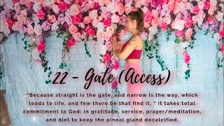 22  Gate Access [upl. by Nessa]