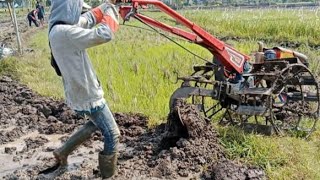 JOKI TRAKTOR PUSING PINDAH KE LAHAN SAWAH KERING [upl. by Aduhey]