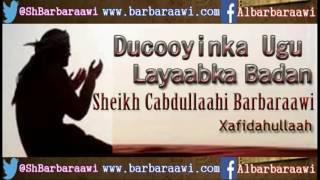 Ducooyinka Ugu Layaabka Badan Sheikh Cabdullaahi Barbaraawi [upl. by Adnik866]