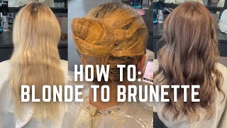 Blonde to Brunette hair transformation  dying hair back to natural tutorial [upl. by Nirret811]