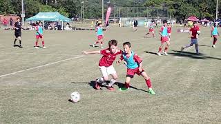 FQ Junior Cup 2024 Silver U12  Final Olympic FC vs GC Knights  25 June 2024 [upl. by Soane]