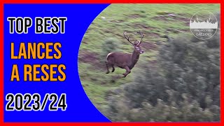 TOP BEST LANCES A RESES 2324  TOP SHOT DEERHUNTING [upl. by Pattani]