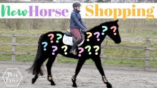 New Horse Shopping  The Search Begins AD  This Esme [upl. by Haimirej]