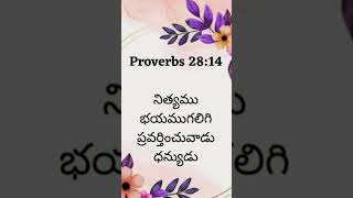 Nithyamu bhayanlmu Kaligi Proverbs 2814 [upl. by Nwahsor]