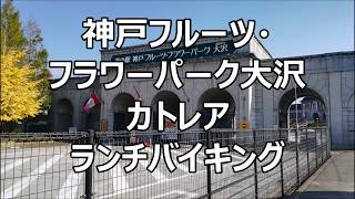 【神戸レストランカトレア ランチバイキング】神戸フルーツフラワーパーク大沢のホテル内にあるカトレアのランチバイキングの動画です お手頃価格でお風呂セットも選べます [upl. by Philender]