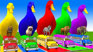 5 Giant Duck CartoonCowElephantTigerLionGorilla Paint Wild Animals Crossing Fountain Animation [upl. by Trixy]