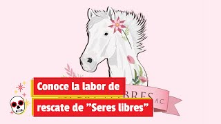 Conoce la labor de rescate de quotSeres libresquot [upl. by Geer]