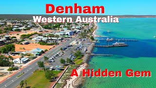 Exploring Denham a hidden gem in Western Australia [upl. by Gregg656]