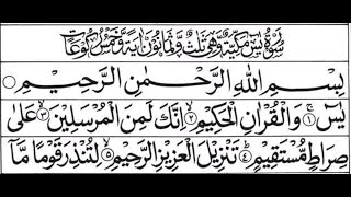 036Surah Yaseen With Arabic Text [upl. by Anelrac]