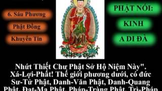 Tụng Kinh A Di Đà Thích Trí Thoát [upl. by Paris438]