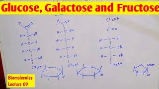 Glucose Fructose and Galactose linear structure Comparison and ring structure  Monosaccharides [upl. by Mureil]