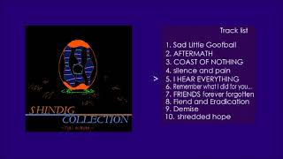 Shindig Collection PMD2 Fan Album [upl. by Hodge237]