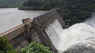 Bhakra Nangal Dam Gates Open due to Heavy Rain  ਪੰਜਾਬ ਵਿਚ ਤਬਾਹੀ ਮਚਾ ਸਕਦਾ ਹੈ ਪਾਣੀ  Hamdard Tv [upl. by Ard]