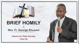 Homily for Palm Sunday Year B The Foolishness of the Cross [upl. by Sera]