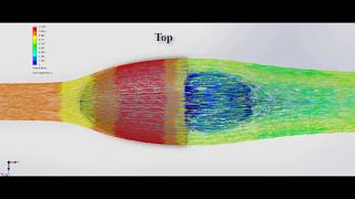 Leading Edge Flow Simulation [upl. by Durwood185]