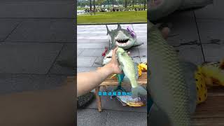 When dolphins want to buy fish😱quotyoutubeshorts [upl. by Atila168]