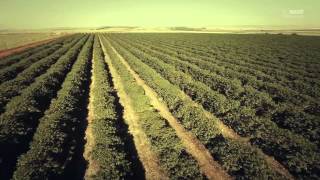 Agricultura o maior trabalho da Terra [upl. by Yesor]