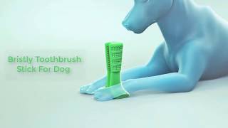 Bristly Toothbrush Stick For Dog On Sale DIY Toothbrush For Dog [upl. by Ailel]