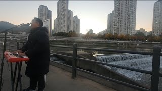 06112024 Sincheon riverside park Daegu Korea [upl. by Hyps]