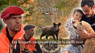 Saison chasse 2024  Chasse au sanglier dans le lot au pays de la truffe [upl. by Alyt537]