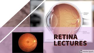 RETINA LECTURE 4 DIABETIC RETINOPATHY in detail with all important stuff [upl. by Enisaj]