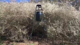 Futterautomat Ablenkfütterung Dauerkirrung Schwarzwild [upl. by Aynatal]