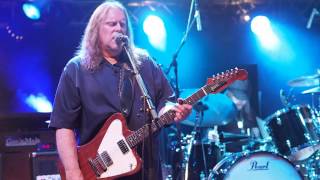 Govt Mule  Endless Parade Tuttlingen July 17 2013 [upl. by Orapma]