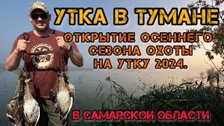 УТКА В ТУМАНЕ ОТЛИЧНО ОТКРЫЛИ ОСЕННИЙ СЕЗОН ОХОТЫ НА УТКУ 2024 САМАРСКАЯ ОБЛАСТЬ Охота с чучелами [upl. by Aieka]