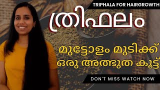 മുട്ടോളം മുടിക്ക് ഒരു അത്ഭുത ആയുർവ്വേദ കൂട്ട്തൃഫലTriphala for triple hairgrowth [upl. by Aved764]