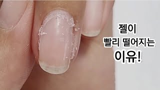 SUB23일 만에 젤이 떨어지고 큐티클 프리엣지 빨리 들떴나요 손톱 숨을 쉬나요자세히 알려드려요❤️The reason why the gel fell off so fast [upl. by Perl]