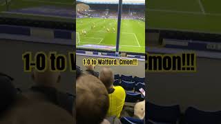 Watford 6 Sheffield Wednesday 2 [upl. by Nwotna]