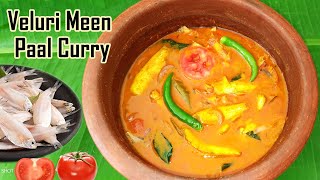 Veluri Meen Paal Curry  White Sardines Fish Curry  Kerala Veluri Fish Curry Recipe  Meen Curry [upl. by Floris]