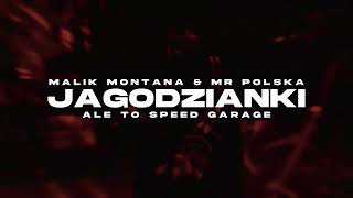 MALIK MONTANA amp MR POLSKA  JAGODZIANKI ale to SPEED GARAGE [upl. by Ahsienor]