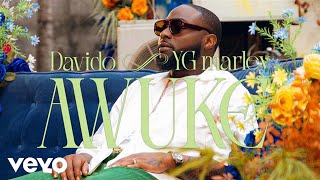 Davido YG Marley  Awuke Official Video [upl. by Llehsam]