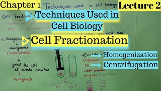 CELL FRACTIONATION  Homogenization  Centrifugation  Techniques Used in Cell Biology [upl. by Duval]