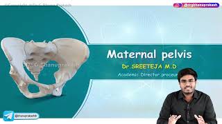 Maternal Pelvis  Obstetrics and Gynaecology Lecture [upl. by Hpesojnhoj]