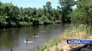 Stanislaus River Plunge Sounds Good On Summers Day [upl. by Retrop]