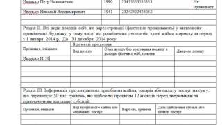 Как заполнить заявление и декларацию для получения субсидии [upl. by Esina]