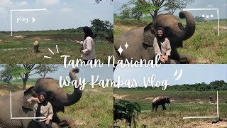 Tugas Vlog Bahasa Indonesia  Taman Nasional Way Kambas [upl. by Bloom278]