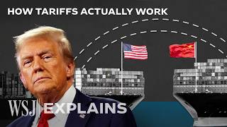 Why Economists Hate Trumps Tariff Plan  WSJ [upl. by Lorinda124]