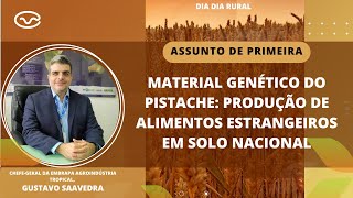 Material genético do pistache produção de alimentos estrangeiros em solo nacional [upl. by Sirc]